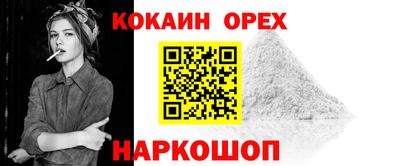 прущие крисы Можга