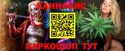 прущие крисы Можга