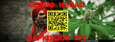 spice Моздок