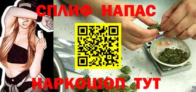 spice Моздок