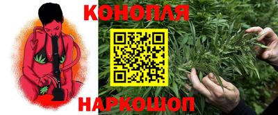 spice Моздок